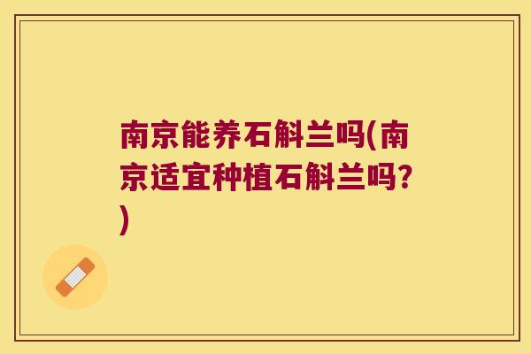 南京能养石斛兰吗(南京适宜种植石斛兰吗？)