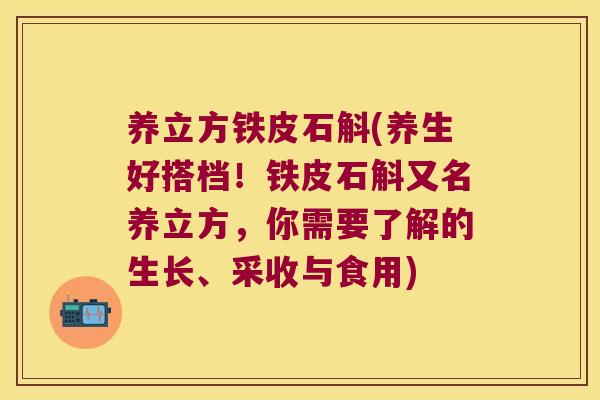 养立方铁皮石斛(养生好搭档！铁皮石斛又名养立方，你需要了解的生长、采收与食用)