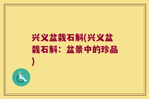 兴义盆栽石斛(兴义盆栽石斛：盆景中的珍品)