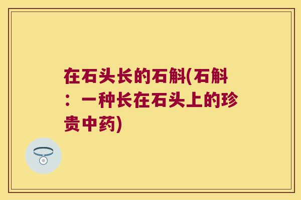 在石头长的石斛(石斛：一种长在石头上的珍贵)