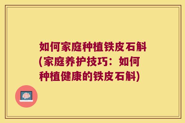 如何家庭种植铁皮石斛(家庭养护技巧：如何种植健康的铁皮石斛)