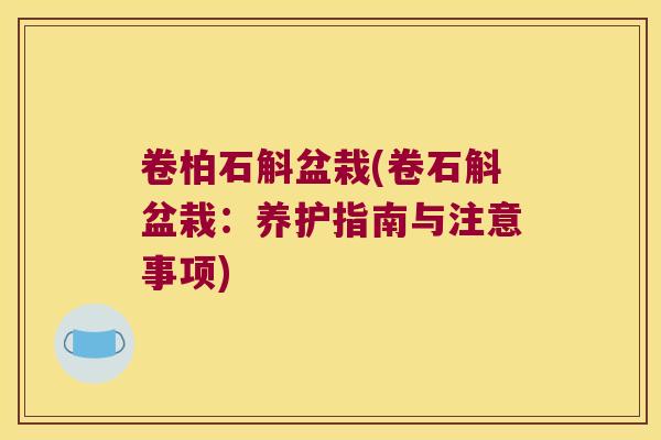 卷柏石斛盆栽(卷石斛盆栽：养护指南与注意事项)