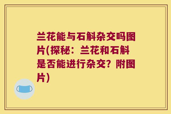 兰花能与石斛杂交吗图片(探秘：兰花和石斛是否能进行杂交？附图片)