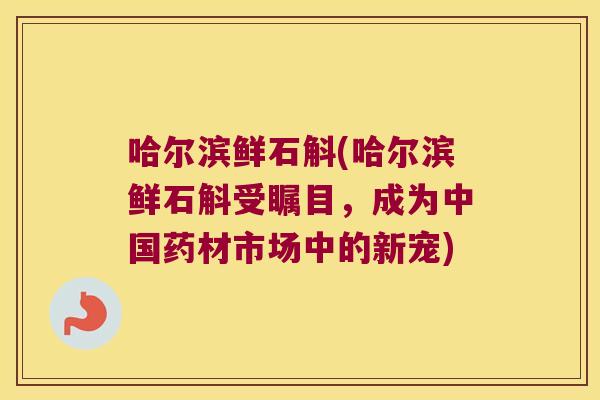 哈尔滨鲜石斛(哈尔滨鲜石斛受瞩目，成为中国药材市场中的新宠)