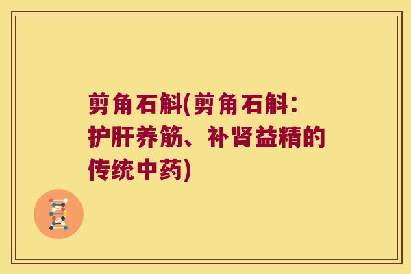 剪角石斛(剪角石斛：养筋、补益精的传统)