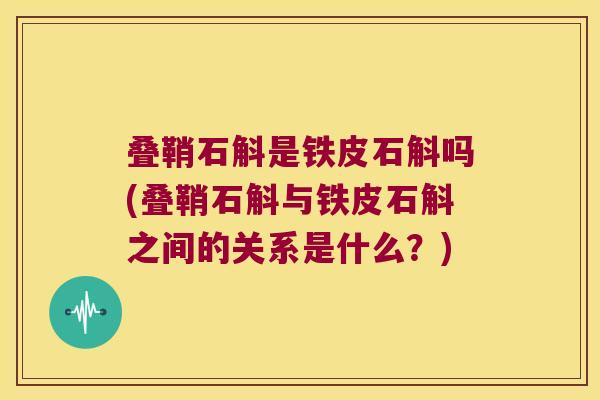 叠鞘石斛是铁皮石斛吗(叠鞘石斛与铁皮石斛之间的关系是什么？)