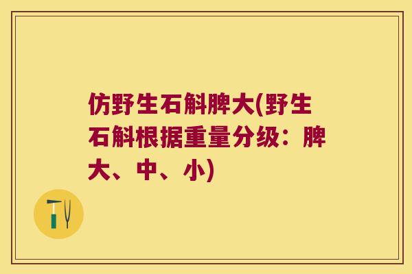 仿野生石斛脾大(野生石斛根据重量分级：脾大、中、小)