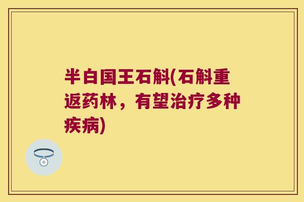 半白国王石斛(石斛重返药林，有望治疗多种疾病)