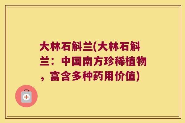大林石斛兰(大林石斛兰:中国南方珍稀植物,富含多种药用价值) 大林石斛兰(大林石斛兰:中国南方珍稀植物,富含多种药用价值)