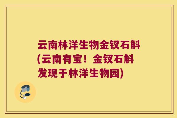云南林洋生物金钗石斛(云南有宝！金钗石斛发现于林洋生物园)