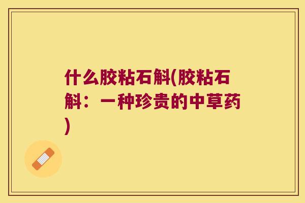 什么胶粘石斛(胶粘石斛：一种珍贵的中草药)