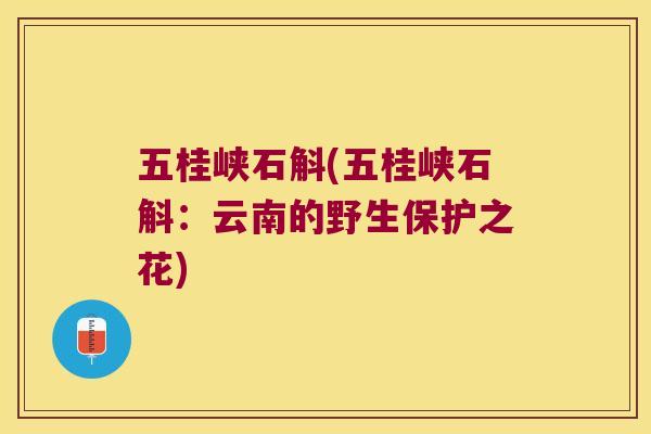 五桂峡石斛(五桂峡石斛：云南的野生保护之花)