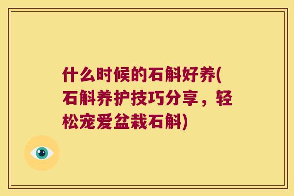 什么时候的石斛好养(石斛养护技巧分享，轻松宠爱盆栽石斛)