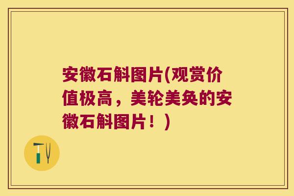 安徽石斛图片(观赏价值极高，美轮美奂的安徽石斛图片！)