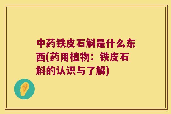 铁皮石斛是什么东西(药用植物：铁皮石斛的认识与了解)