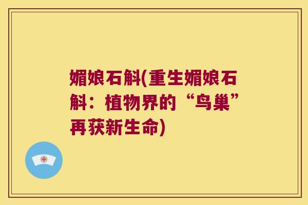 媚娘石斛(重生媚娘石斛：植物界的“鸟巢”再获新生命)
