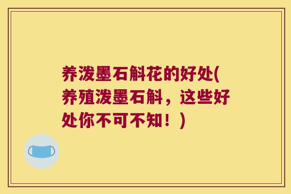 养泼墨石斛花的好处(养殖泼墨石斛，这些好处你不可不知！)