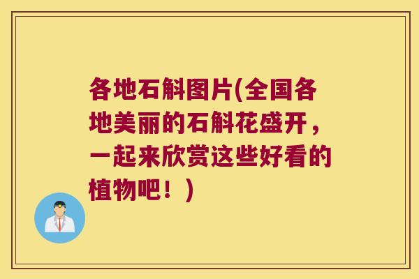 各地石斛图片(全国各地美丽的石斛花盛开，一起来欣赏这些好看的植物吧！)