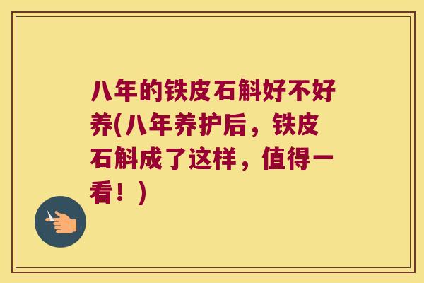 八年的铁皮石斛好不好养(八年养护后，铁皮石斛成了这样，值得一看！)
