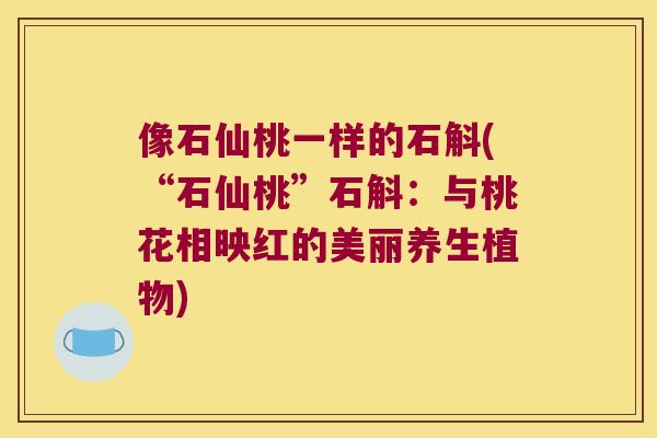 像石仙桃一样的石斛(“石仙桃”石斛：与桃花相映红的美丽养生植物)