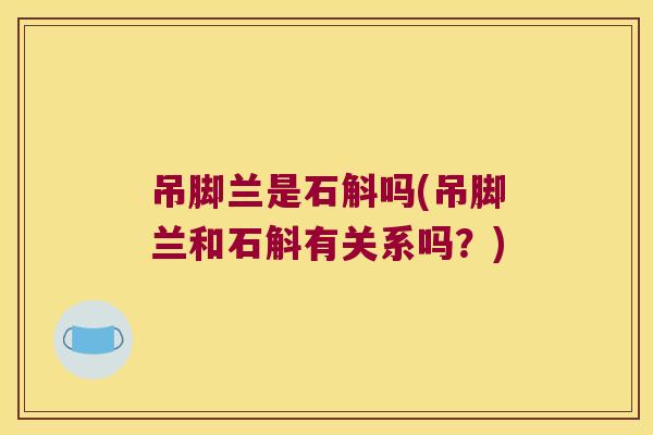 吊脚兰是石斛吗(吊脚兰和石斛有关系吗？)