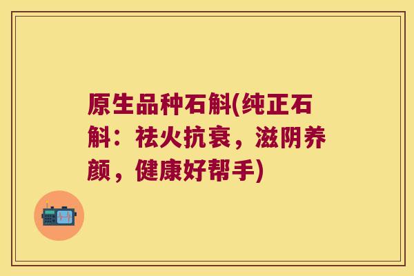 原生品种石斛(纯正石斛：祛火抗衰，滋阴养颜，健康好帮手)