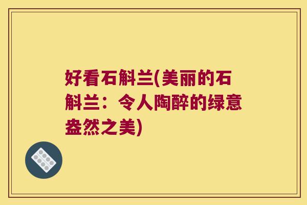 好看石斛兰(美丽的石斛兰：令人陶醉的绿意盎然之美)