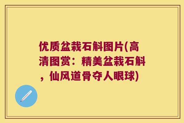 优质盆栽石斛图片(高清图赏：精美盆栽石斛，仙风道骨夺人眼球)