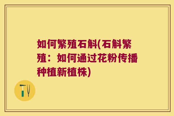 如何繁殖石斛(石斛繁殖：如何通过花粉传播种植新植株)