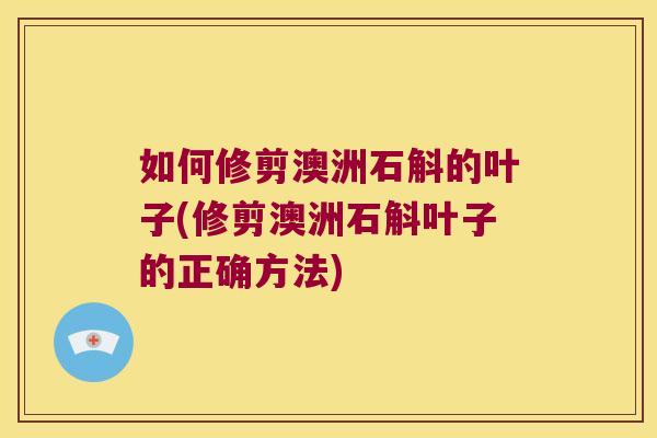 如何修剪澳洲石斛的叶子(修剪澳洲石斛叶子的正确方法)