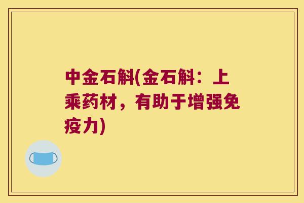 中金石斛(金石斛：上乘药材，有助于增强免疫力)