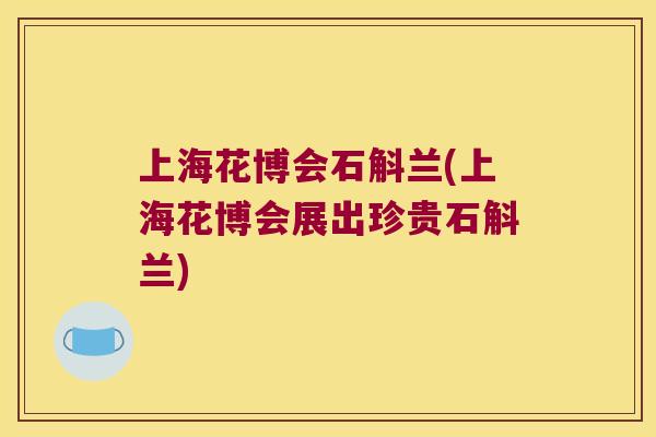 上海花博会石斛兰(上海花博会展出珍贵石斛兰)