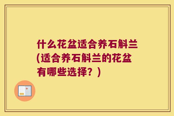 什么花盆适合养石斛兰(适合养石斛兰的花盆有哪些选择？)