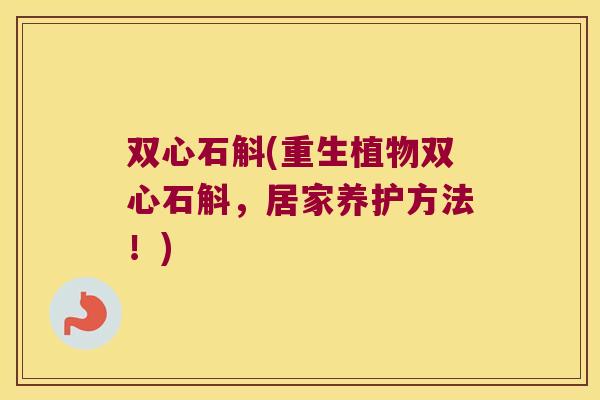 双心石斛(重生植物双心石斛，居家养护方法！)