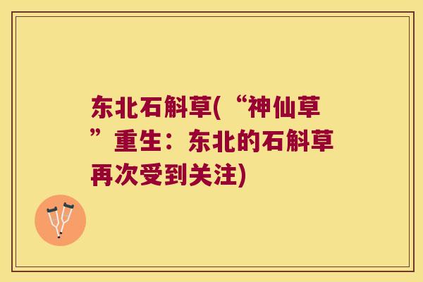 东北石斛草(“神仙草”重生：东北的石斛草再次受到关注)