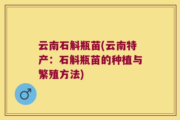 云南石斛瓶苗(云南特产：石斛瓶苗的种植与繁殖方法)