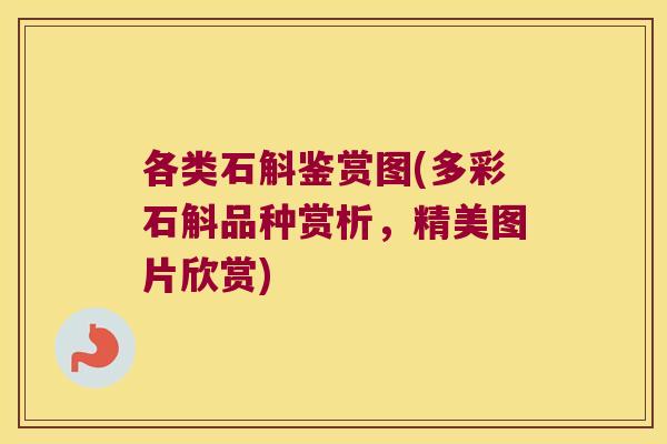 各类石斛鉴赏图(多彩石斛品种赏析，精美图片欣赏)