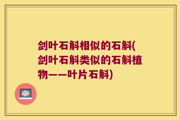 剑叶石斛相似的石斛(剑叶石斛类似的石斛植物——叶片石斛)