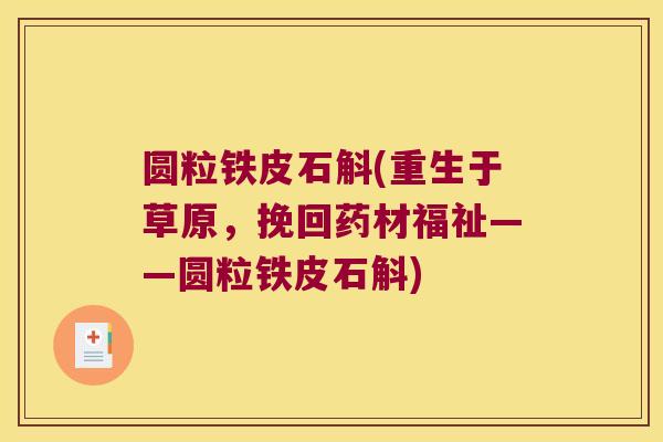 圆粒铁皮石斛(重生于草原，挽回药材福祉——圆粒铁皮石斛)