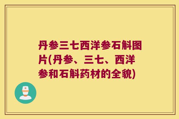 丹参三七西洋参石斛图片(丹参、三七、西洋参和石斛药材的全貌)
