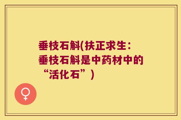 垂枝石斛(扶正求生：垂枝石斛是中药材中的“活化石”)