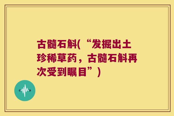古髓石斛(“发掘出土珍稀草药，古髓石斛再次受到瞩目”)