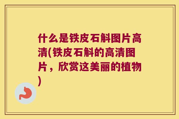 什么是铁皮石斛图片高清(铁皮石斛的高清图片，欣赏这美丽的植物)