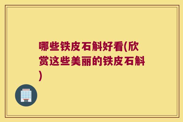 哪些铁皮石斛好看(欣赏这些美丽的铁皮石斛)