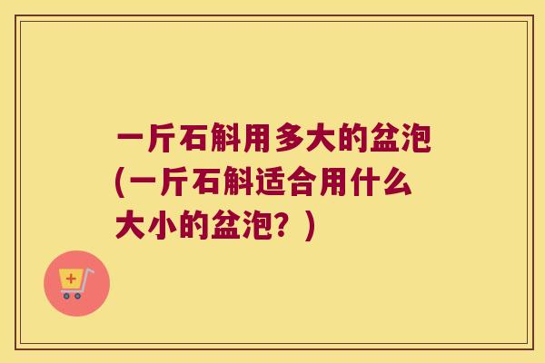 一斤石斛用多大的盆泡(一斤石斛适合用什么大小的盆泡？)