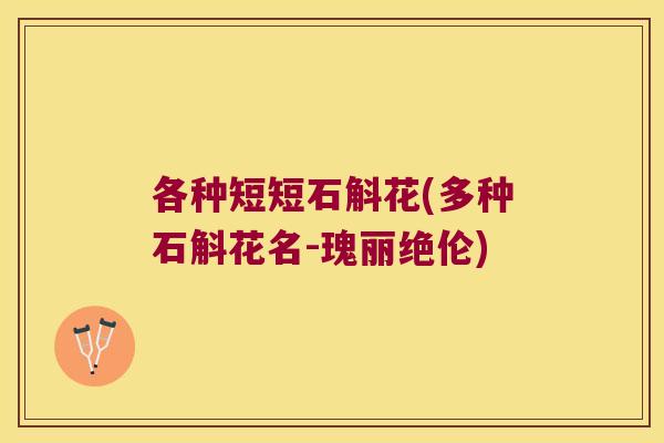 各种短短石斛花(多种石斛花名-瑰丽绝伦)