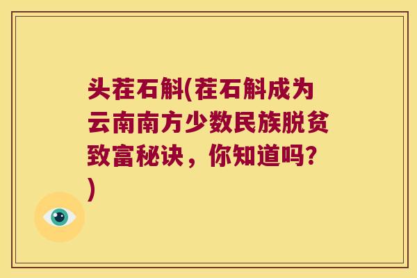 头茬石斛(茬石斛成为云南南方少数民族脱贫致富秘诀，你知道吗？)