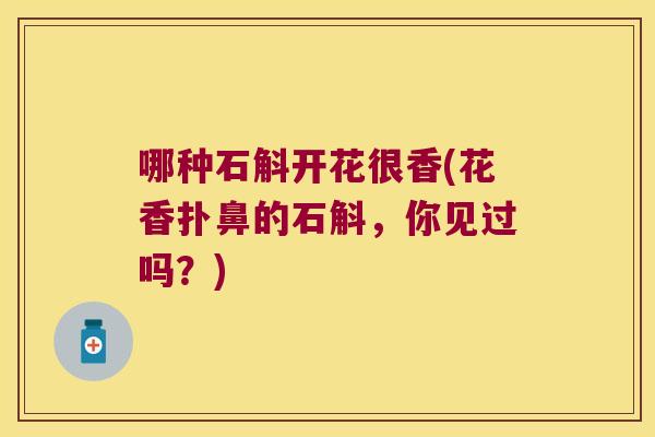 哪种石斛开花很香(花香扑鼻的石斛，你见过吗？)