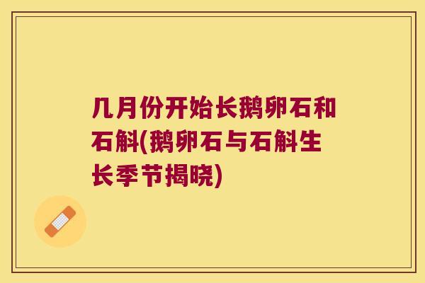 几月份开始长鹅卵石和石斛(鹅卵石与石斛生长季节揭晓)