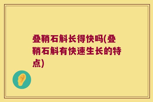 叠鞘石斛长得快吗(叠鞘石斛有快速生长的特点)